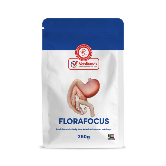 VetsBrands FloraFocus