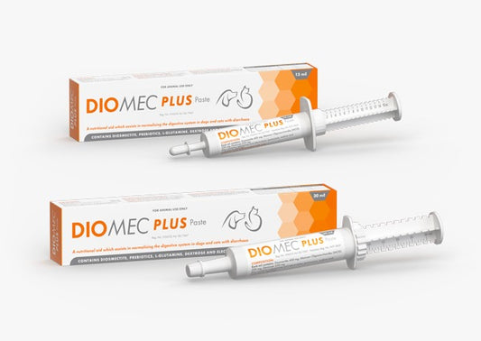 DIOMEC Plus Paste