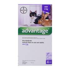 Advantage Cat & Rabbit Flea Treatment